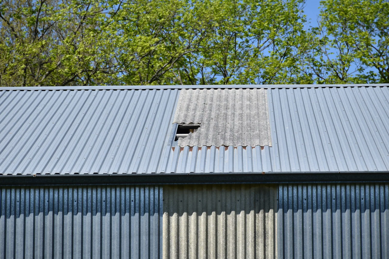 Roof damage repair in Greeley, CO